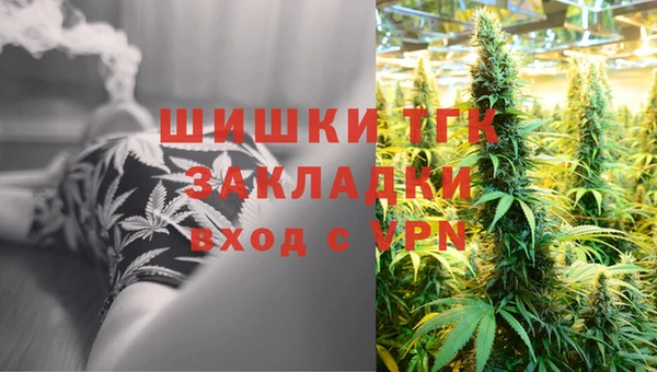 mdpv Богданович