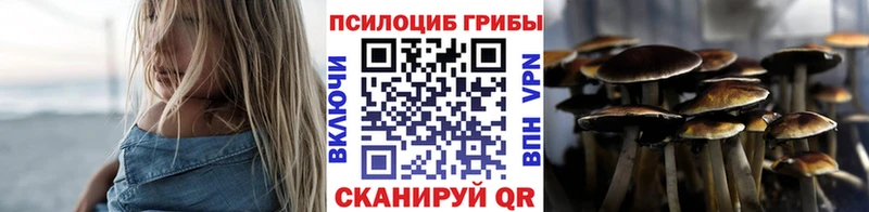 Псилоцибиновые грибы Psilocybine cubensis  Яхрома 